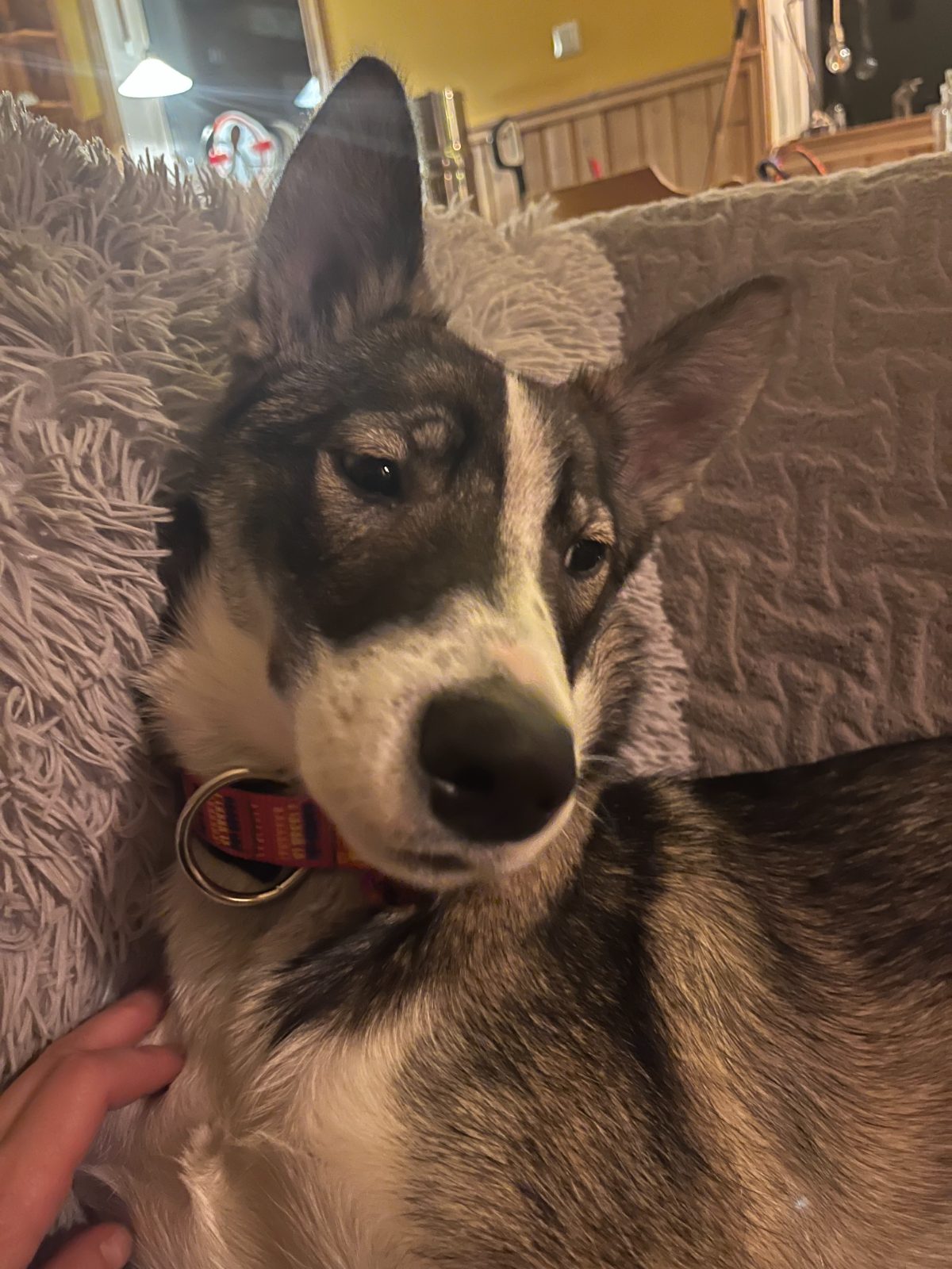 Kira